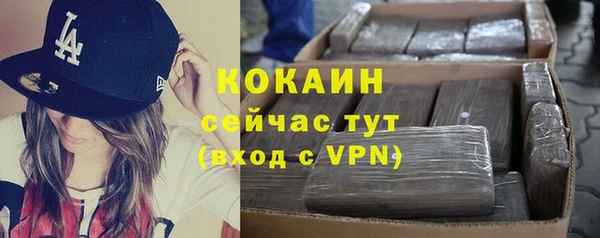 гашик Карталы