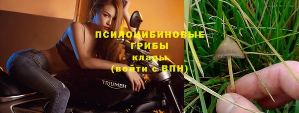 соль ск Арсеньев