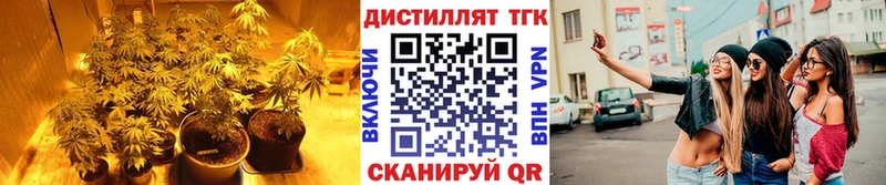 Дистиллят ТГК концентрат  купить наркоту  Сясьстрой 