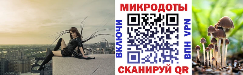 Галлюциногенные грибы ЛСД наркотики это клад Сясьстрой